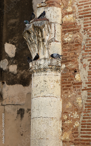 ruined column of ancient building and doves on it, selective focus. Fragment of building of the first American hospital, San Nicols de Bari in Santo Domingo, early 16th century. photo