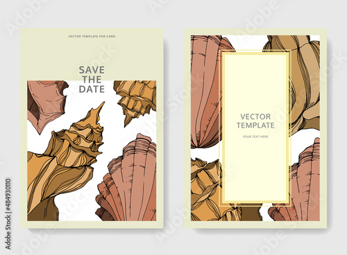 Vector Summer beach seashell. Black and white engraved ink art. Wedding background card decorative border.