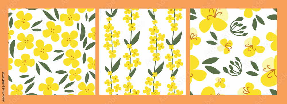 Set seamless pattern rapeseed flowers on a white isolated background. Yellow canola hand-drawn bright plants. Blooming design elements for postcards, banners. Vector illustration.