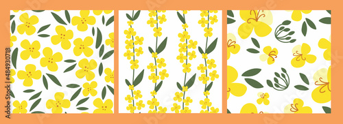 Set seamless pattern rapeseed flowers on a white isolated background. Yellow canola hand-drawn bright plants. Blooming design elements for postcards, banners. Vector illustration.