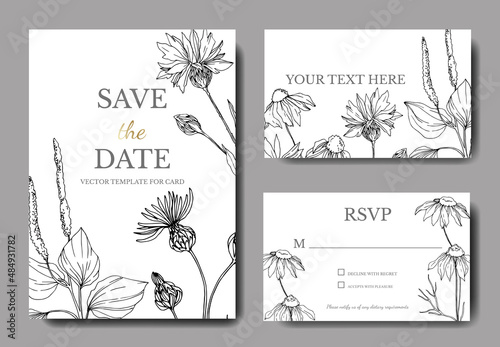 Vector wildflowers botanical flowers. Black and white engraved ink art. Wedding background card decorative border.