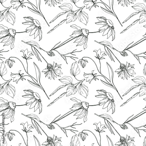 Vector wildflowers floral botanical flowers. Black and white engraved ink art. Seamless background pattern.