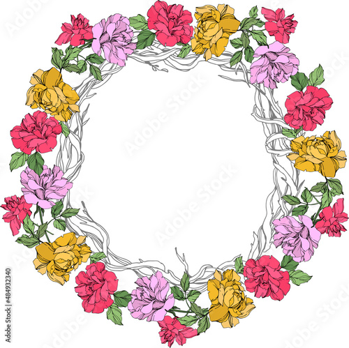 Vector Rose floral botanical flower. Yellow, red and violet engraved ink art. Frame border ornament square.