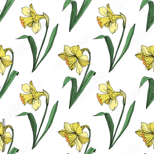 Vector Yellow Narcissus floral botanical flower. Engraved ink art. Seamless background pattern.
