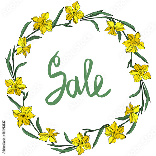 Vector Yellow Narcissus floral botanical flower. Engraved ink art. Frame border ornament square.