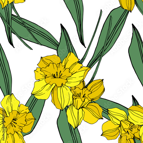Vector Yellow Narcissus floral botanical flower. Engraved ink art. Seamless background pattern.