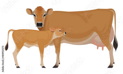 Cow Jersey with Calf - The Best Milk Cattle Breeds. Farm animals. Vector Illustration.