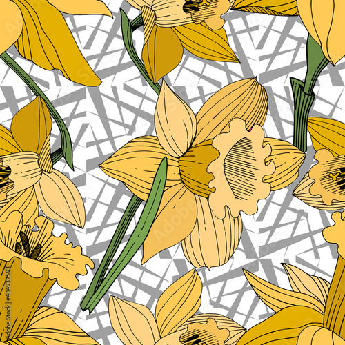 Vector Yellow Narcissus floral botanical flower. Engraved ink art. Seamless background pattern.