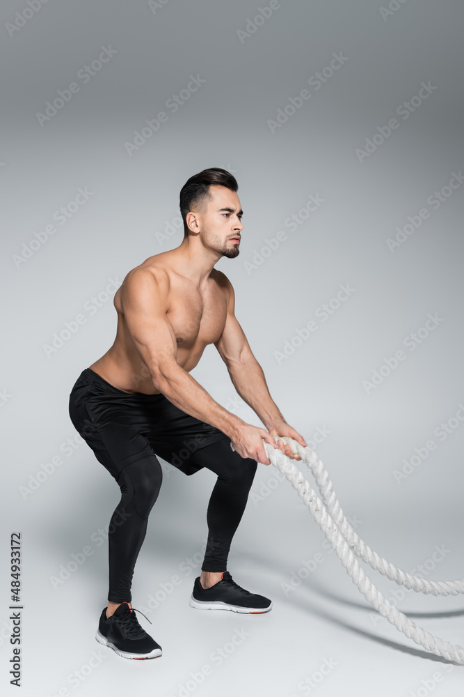 full length of strong bearded sportsman training with battle ropes on grey. full length of strong bearded sportsman training with battle ropes on grey.