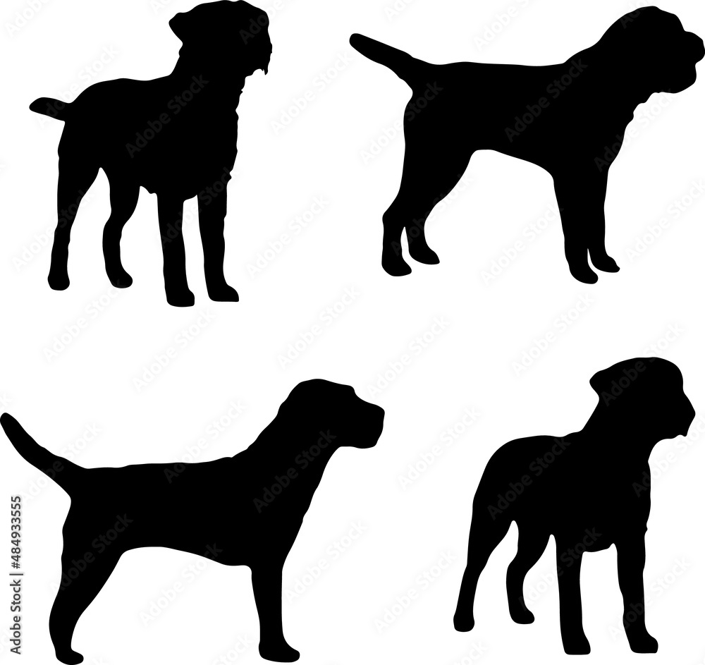 Border Terrier Dog Silhouette Vector Pack