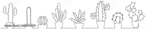 Cactus one line set