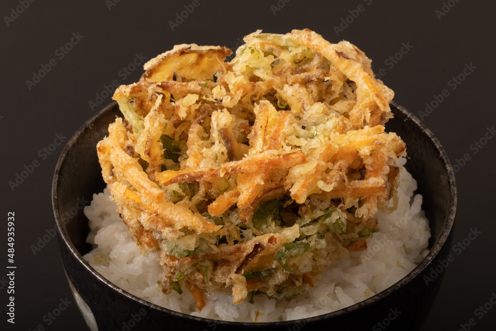 野菜のかき揚げ丼 野菜のかき揚げ丼