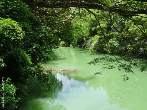 Bohol auf den Philippinen, Chocolate Hills ,Luboc River, Anda