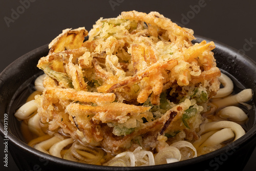 野菜かき揚げうどん photo