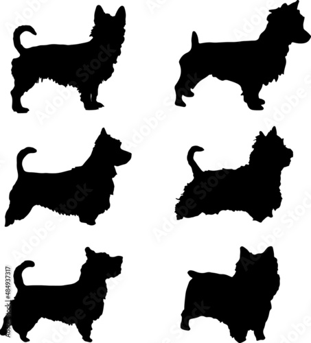 Obraz na płótnie Australian Terrier Dog Silhouette Vector Pack