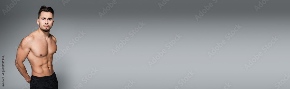 Fototapeta premium bearded and muscular sportsman standing on grey, banner.