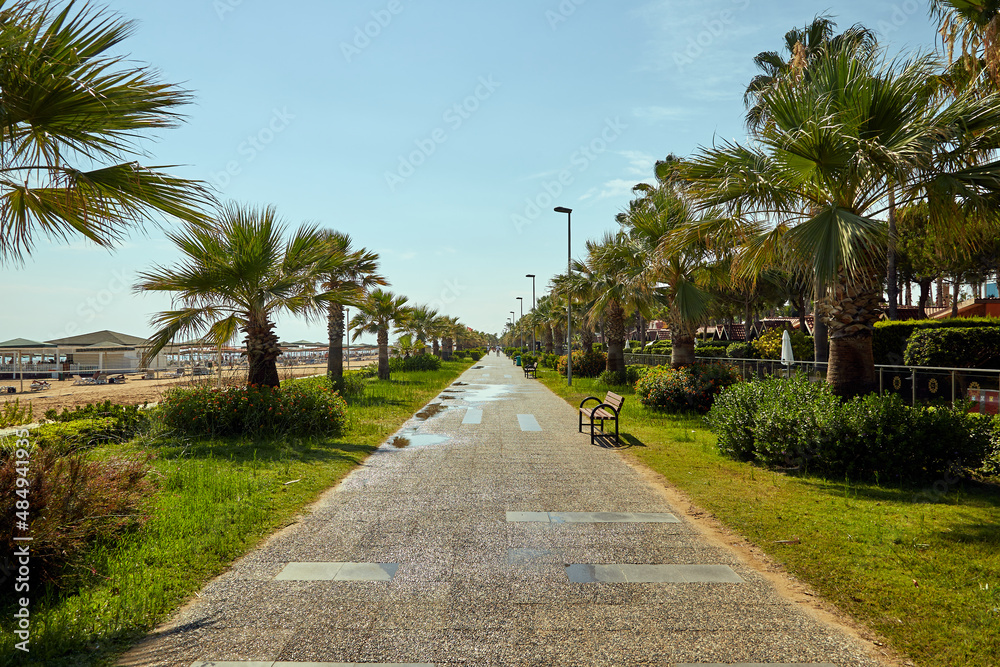 avenue next to hotel in Turkey, Antalya, on the shores of the mediterranean sea, during the covid 19 pandemic