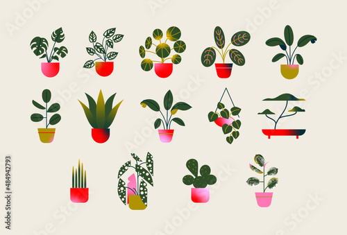 Conjunto de vectores de plantas en maceta y jardinería. Plantas en maceta decorativas y colgantes estilo en cestas.