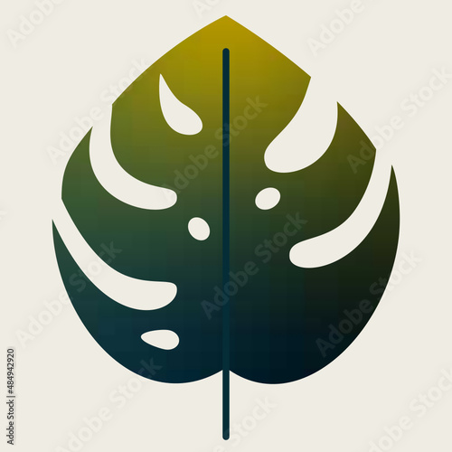 Monstera con hojas. Planta tropical aislada en vector