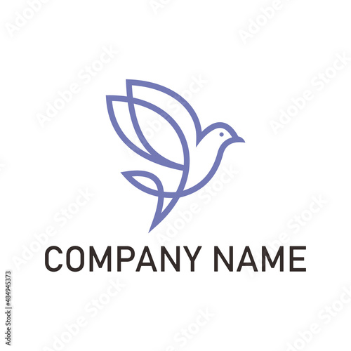 hummingbird logo vector icon template colibry line art logo