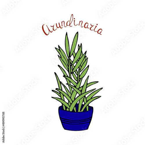 Simple vector illustration. Funny plant. Background image for banner, greeting card, invitation, decoration. photo