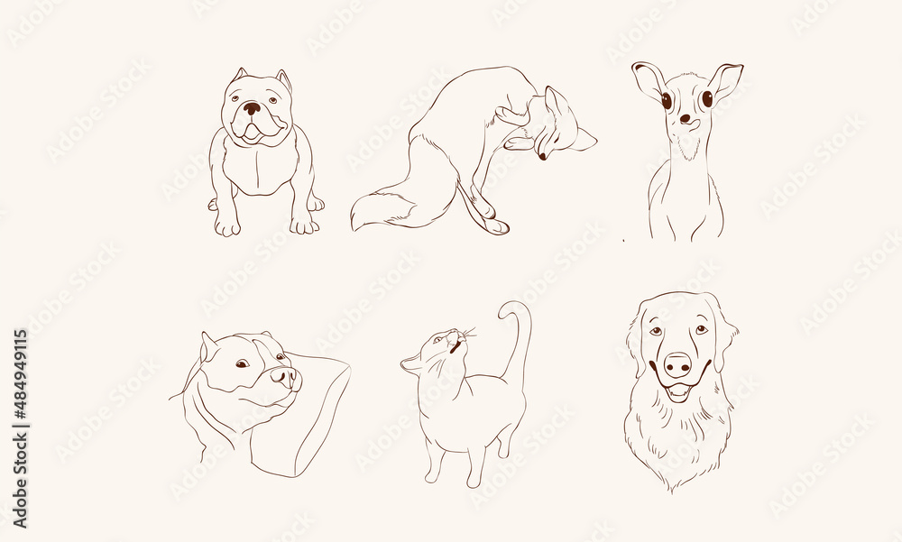Set of funny animal characters. Isolated Cute animal print. Drawn fun poses. Vector illustration