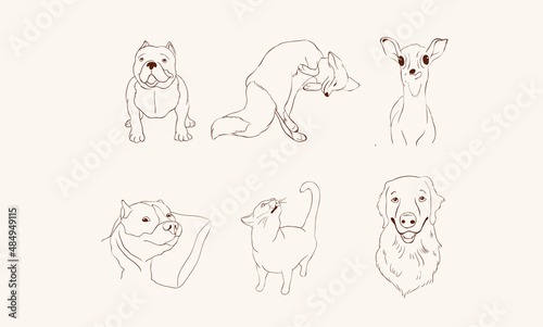 Set of funny animal characters. Isolated Cute animal print. Drawn fun poses. Vector illustration