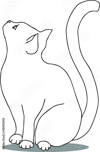 White cat with green eyes sits and looks up vector isolated sketch