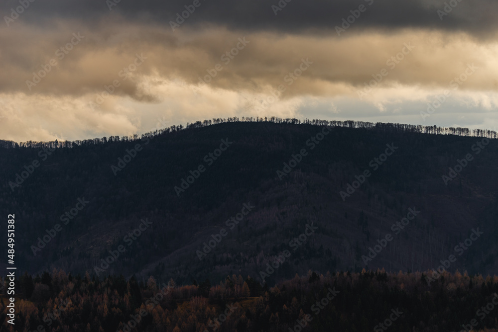 Forest Silhouette with beautiful blue and orange sky on dusk. Beskid Mountains, Poland.
