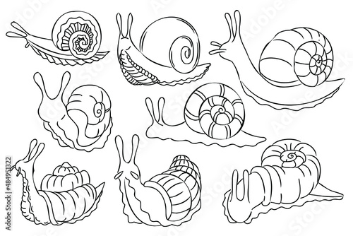 Outline snail illustration set. Black and white line art snails. Cartoon doodle coloring drawings. Linear vector illustration collection