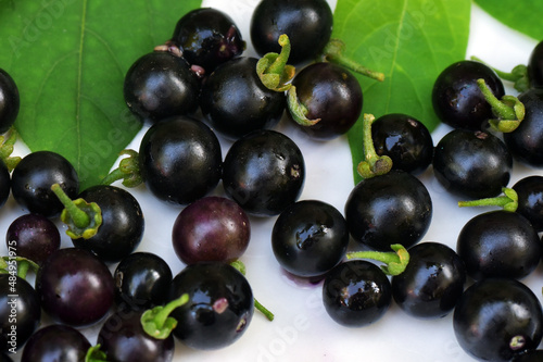 Ripe fruits and leaves of black nightshade (Solanum nigrum) or blackberry nightshade on white background.