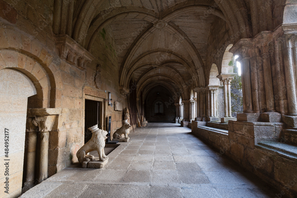 Fototapeta premium Lion of the cloister of the cathedral of Tui, Pontevedra, Galicia