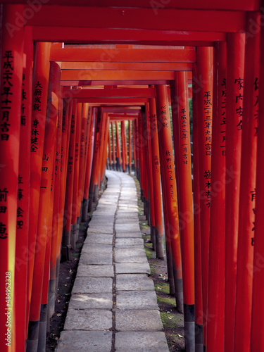 Torii Gates at Meijji Jingu Shrine  Tokyo - very similar to ones in Kyoto