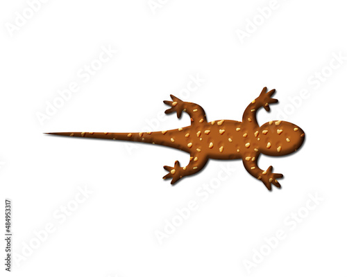 Lizard Gecko symbol Cookies chocolate icon logo illustration