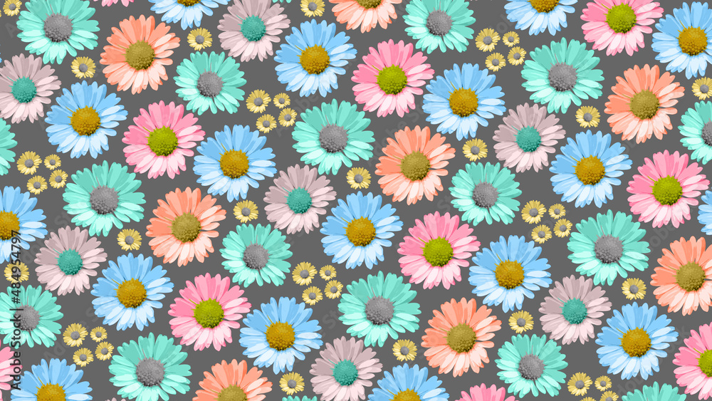 Grey daisy flower pattern, multi color bright flowers