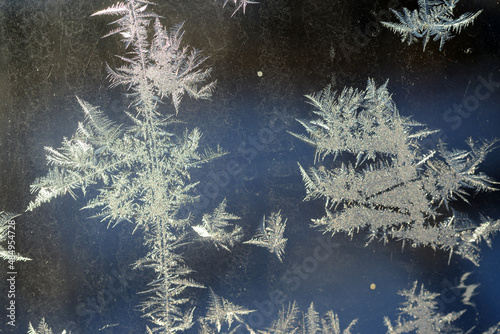 Natural frost floral pattern with abstract lines, stems, and snowflakes.