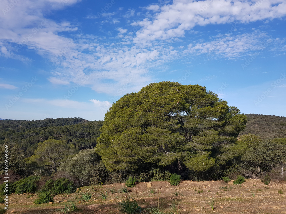 Paesaggio di Sardegna Paesaggio di Sardegna