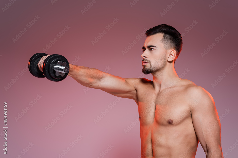 strong and shirtless man training with dumbbell and looking away on pink and grey. strong and shirtless man training with dumbbell and looking away on pink and grey.