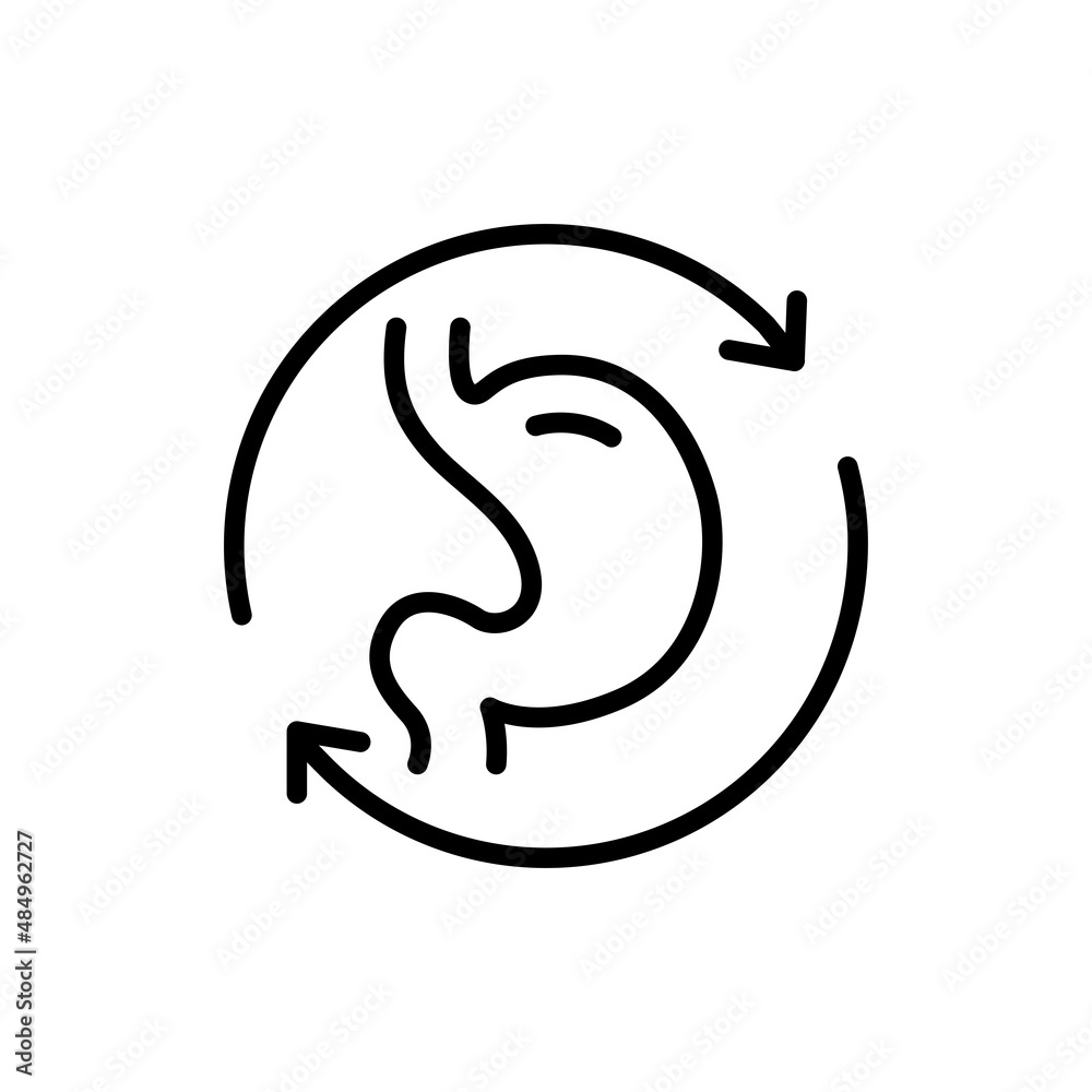 Stomach transplant line icon. Isolated vector element. Stomach transplant line icon. Isolated vector element.