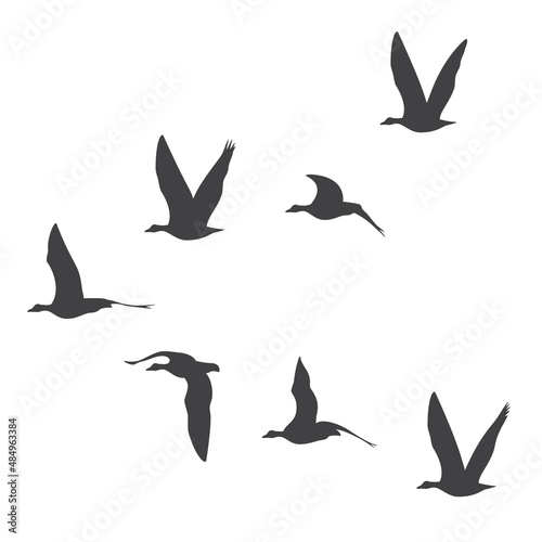 Silhouettes of birds flying in a flock. Vector illustration isolated on white background. © OnD
