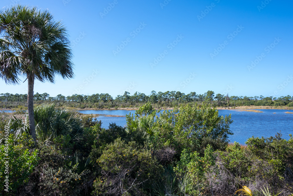 South Florida Everglades Sanctuary Botanical Garden in Naples