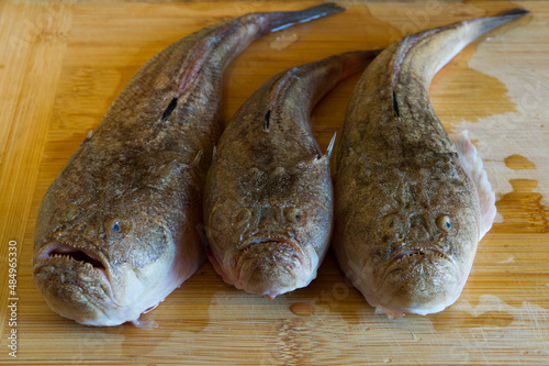 Obraz na płótnie Raw sea fish Atlantic stargazer, Uranoscopus scaber  on a wooden board, raw seaf
