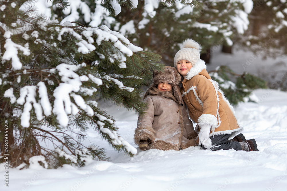 Fototapeta premium Brother and sister are sitting in the snow under a pine tree and laughing.