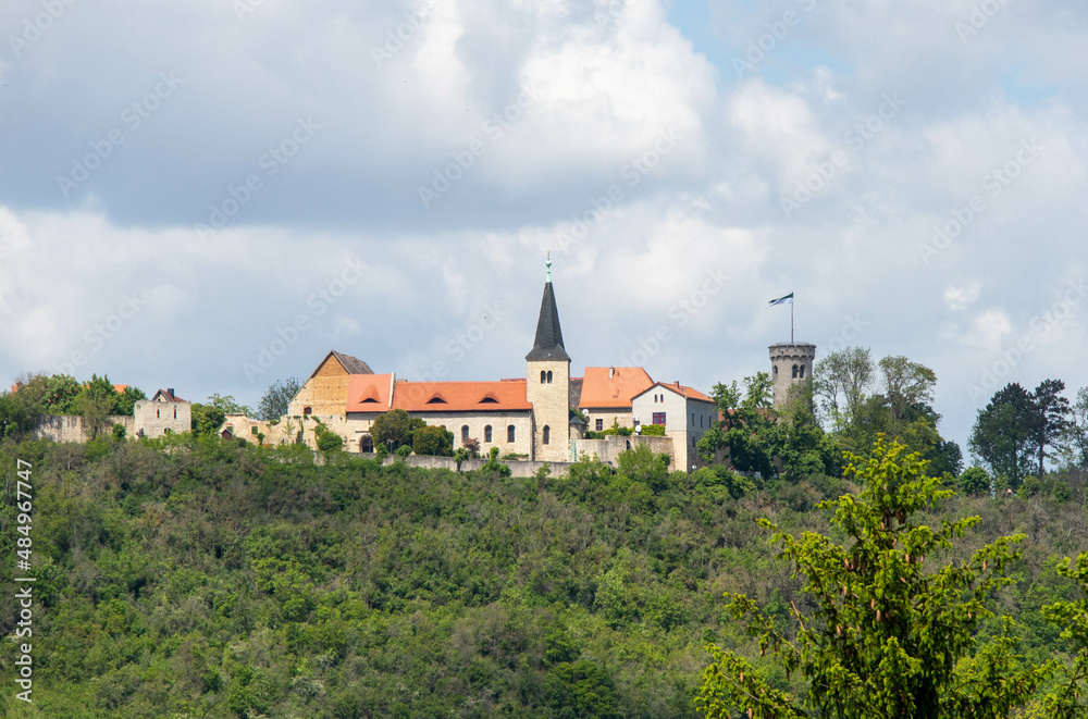 View of the historic town of Freyburg on the Unstrut river with the Neuenburg castle complex and vineyards,Germany
