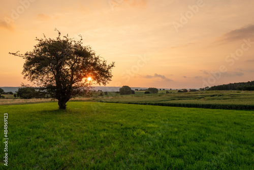 Country landscape in sunshine, Germany