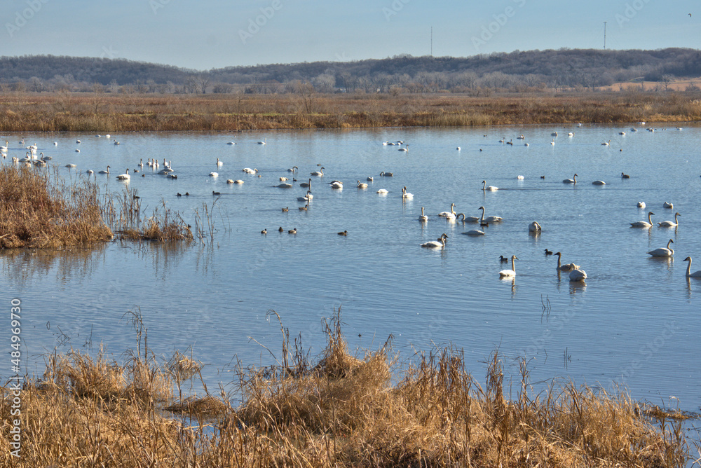 Loess Bluffs National Wildlife refuge (AKA Squaw Creek National Wildlife Refuge) located in NE Missouri near Mound City Loess Bluffs National Wildlife refuge (AKA Squaw Creek National Wildlife Refuge) located in NE Missouri near Mound City