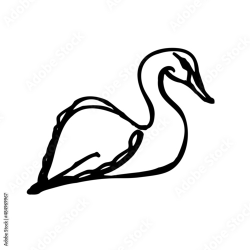 hand-drawn swan. Children s drawing. The image is isolated on a white background. Vector graphics