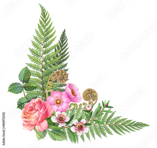 Flowers of New Zealand Decorative Frame Hand Drawn Pencil Illustration