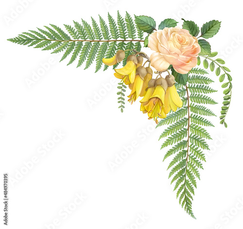 Flowers of New Zealand Decorative Frame Hand Drawn Pencil Illustration