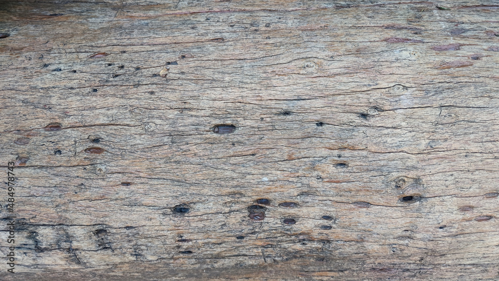 Natural wood pattern background. Close-up of wood plank texture. Wood panel texture.